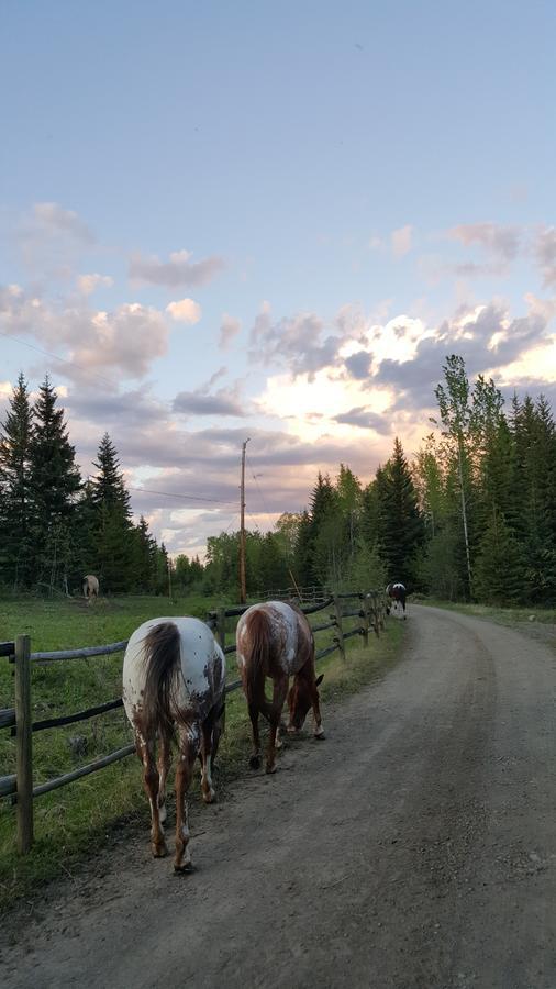 Wettstone Guest Ranch * Bridge Lake