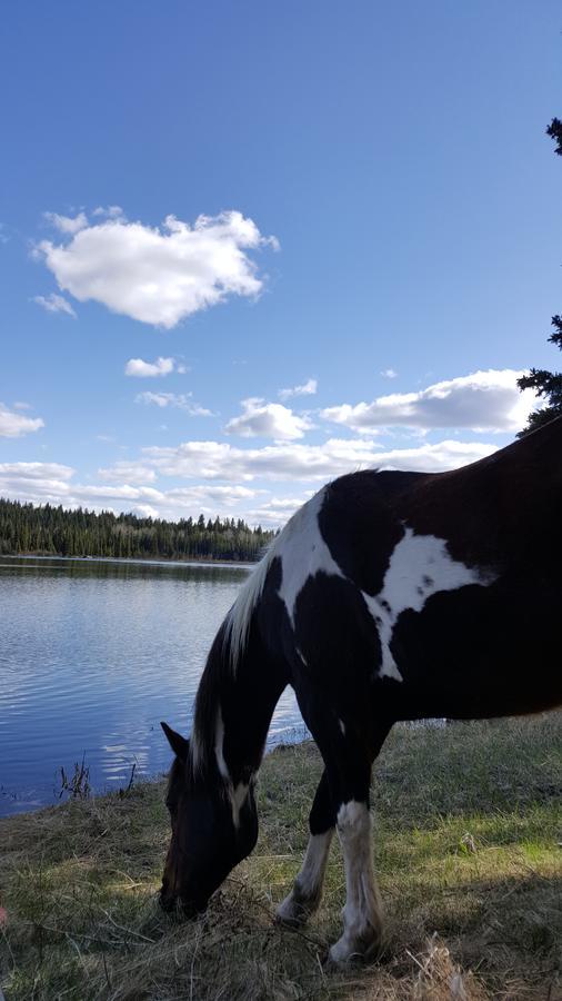Wettstone Guest Ranch * Bridge Lake