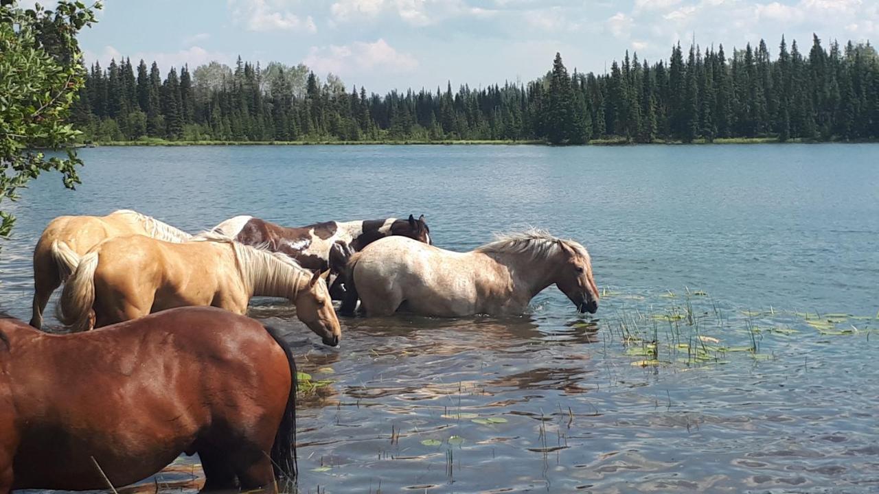 Bed & Breakfast Wettstone Guest Ranch